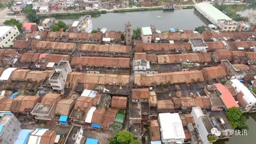 就在博罗园洲！这个比过年还热闹的节日，已有400年历史……