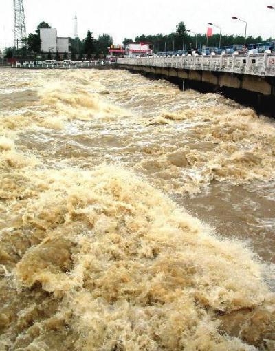 赵薇蒋雯丽长相分析,蒋雯丽比赵薇大10岁