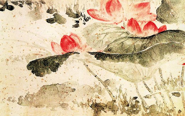 「转」这么美的荷花，千年荷韵