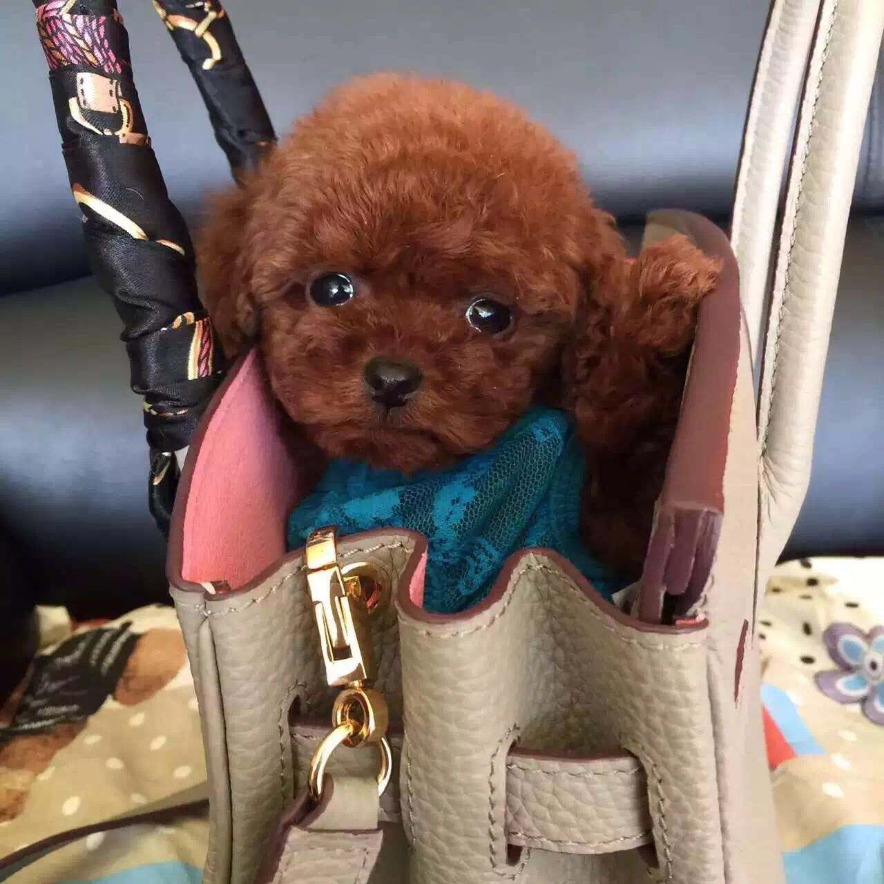 畸形的爱和畸形的恨,畸形的爱真的可怕吗