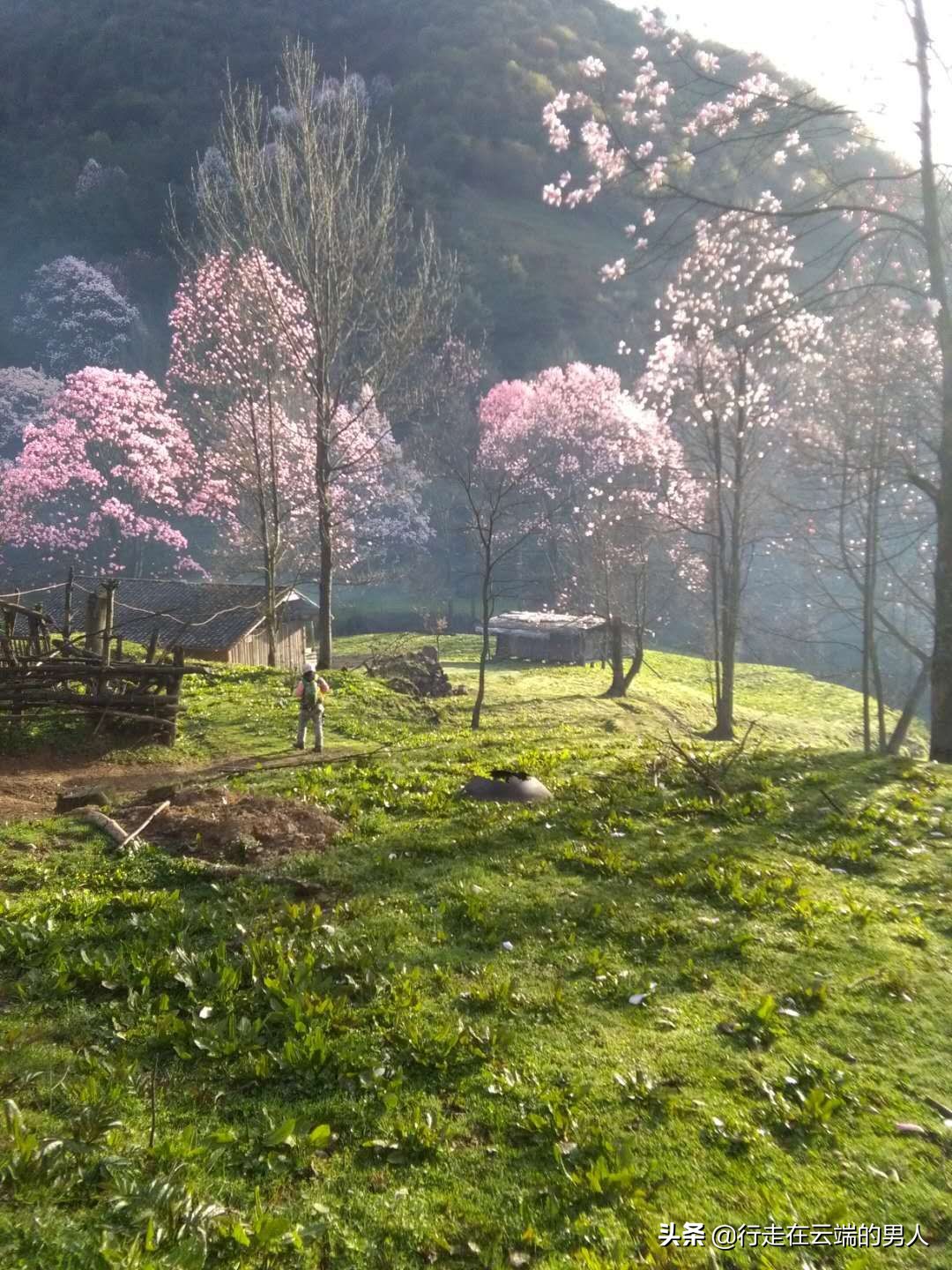 绵阳江油李白故里图片,绵阳藏王寨风景区