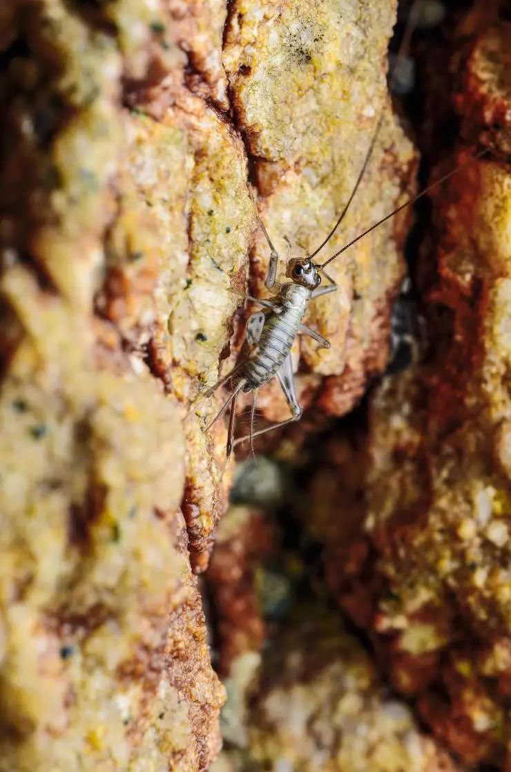 班主任推荐订的杂志，有些真是“一言难尽”|儿童杂志亲测