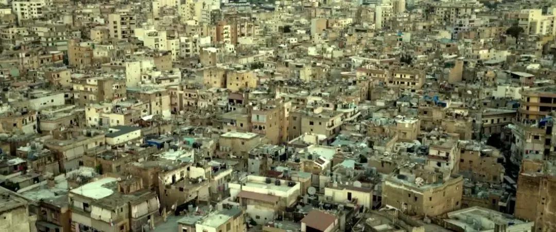 没钱生娃干什么,没钱生我干嘛