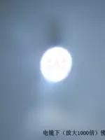 佛陀舍利分析,如何鉴定佛陀舍利