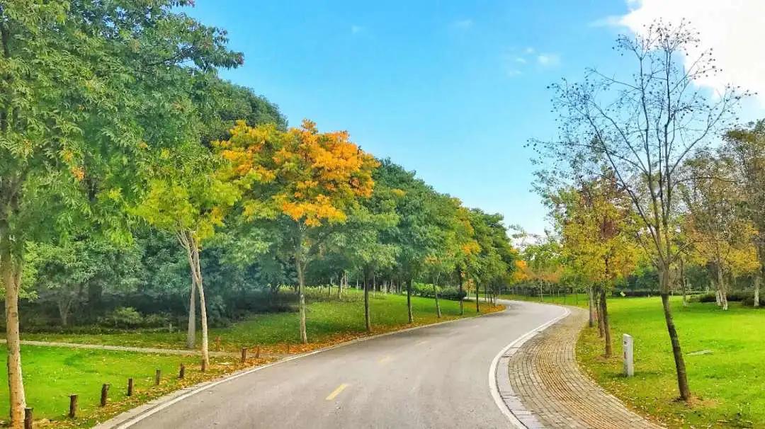 无锡尚贤河湿地夜光跑道路线,无锡古运河慢行步道