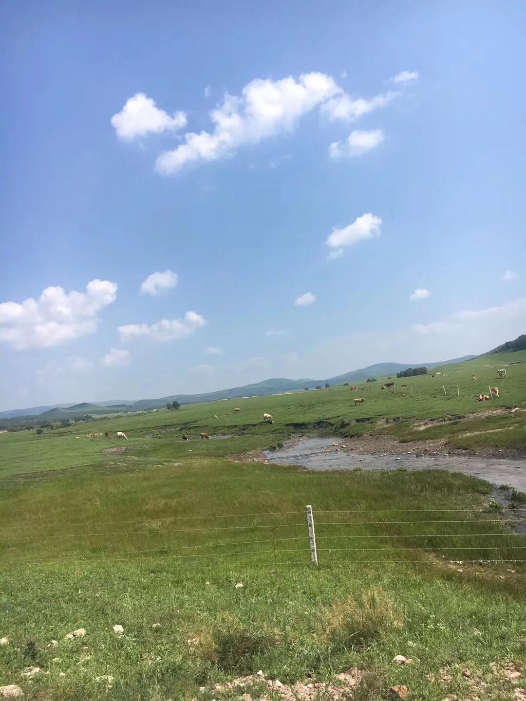 张北天路乌兰布统攻略,天津张北草原天路自驾游攻略