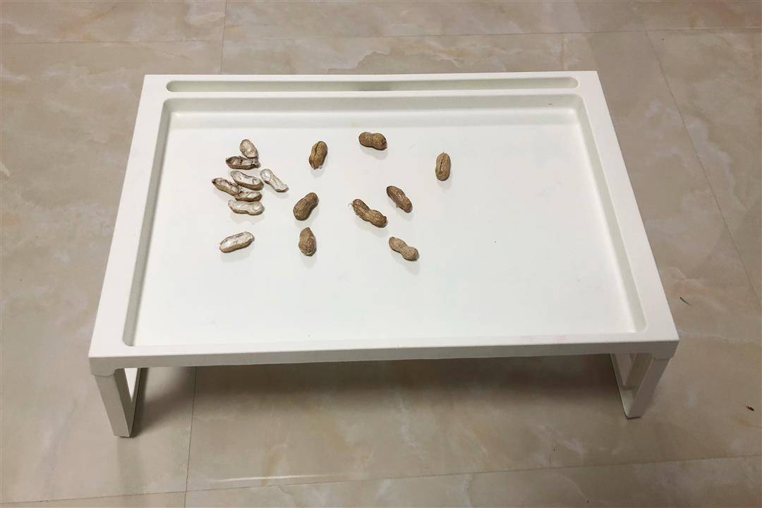 适合陪7-12岁孩子在家玩的游戏,陪孩子玩的小游戏1到10岁