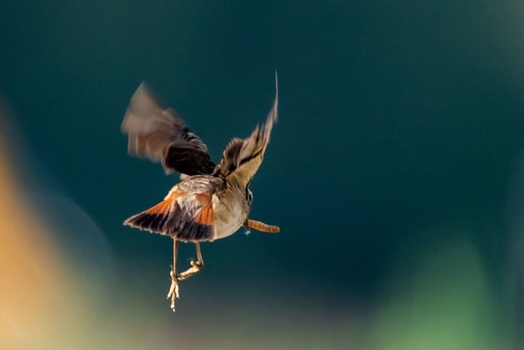 情人岛拍摄地点,情人岛航拍视频