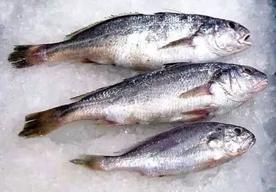 醴陵市海鲜收藏排行榜,海鲜礼盒收藏价格表图