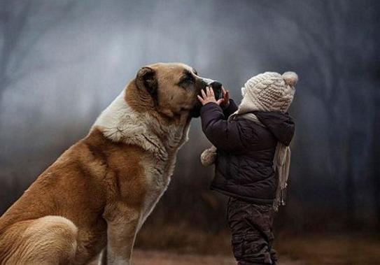 怎样弥补小时候对动物的伤害,怎样消除对某物的恐惧