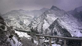 归途列车纪录片高清在线播放,归途列车纪录片完整版下载