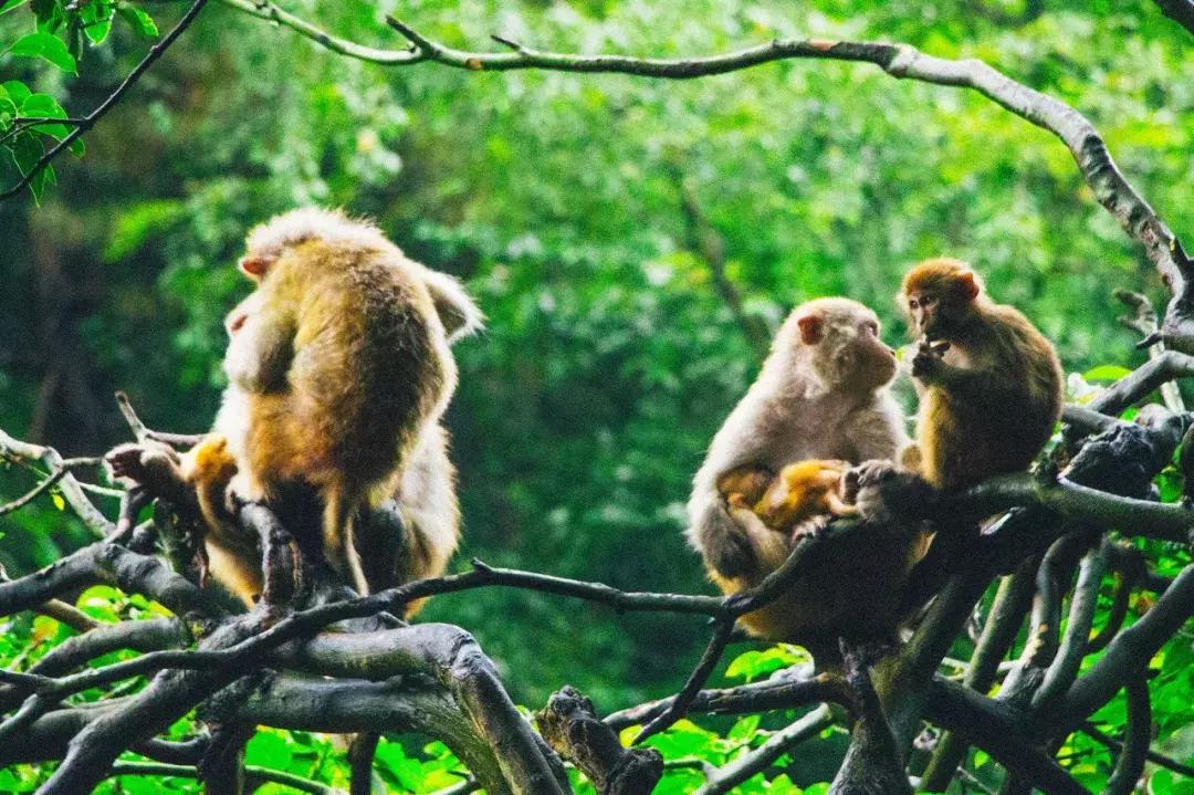 贵州黔东南为什么那么火,黔东南在贵州算不算穷的地方