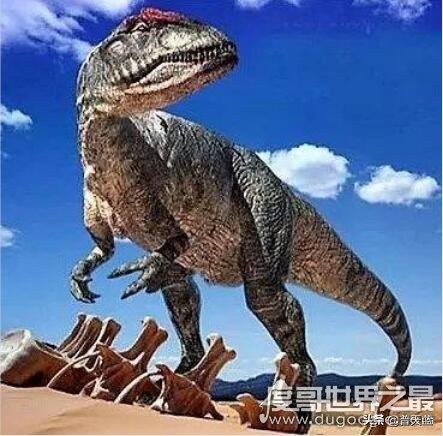 凶猛龙与恐龙大战,好凶猛的恐龙视频