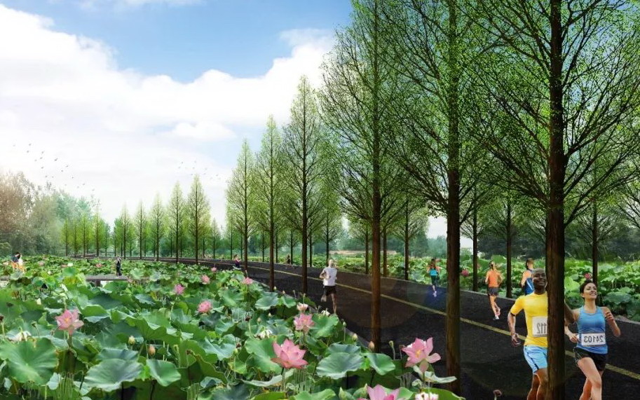 荆州有望成为大城市吗,湖北荆州最大的湖是哪个