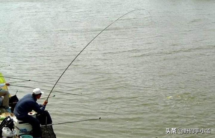 野钓遇到大鱼如何溜鱼,野钓中大鱼怎么处理