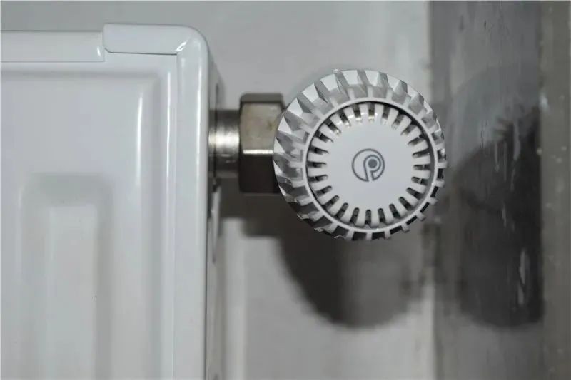 杜甫格律,乐天派辛夷