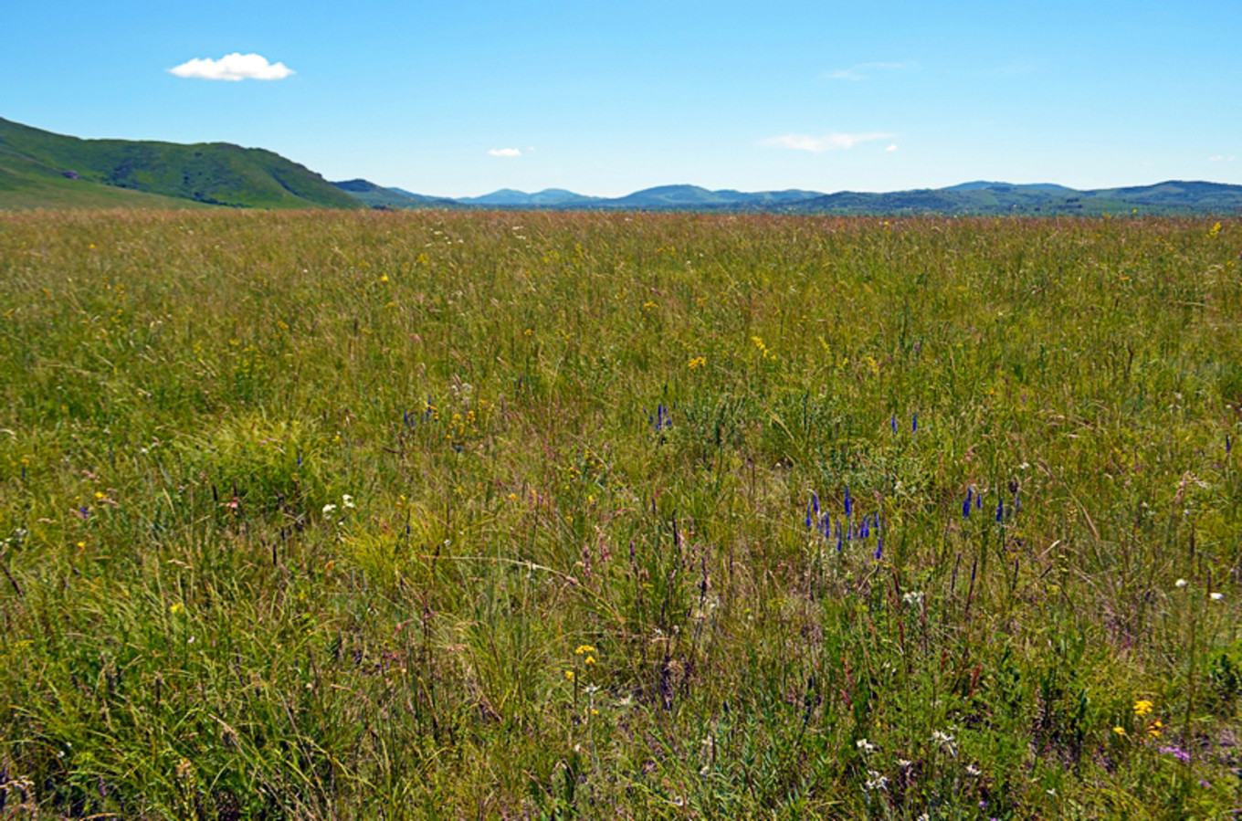 乌珠穆沁草原狼图腾,狼图腾草原魂歌曲
