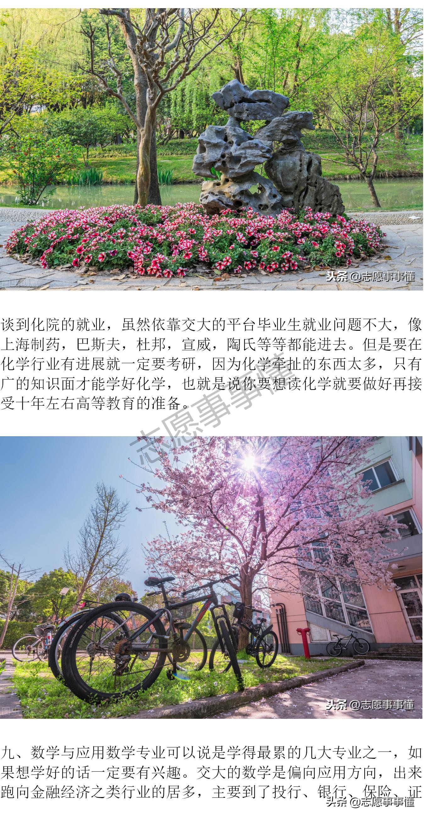 大学漫漫谈之上海交通大学