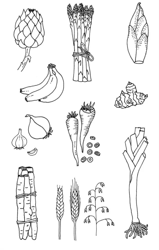 肠子的小心思书籍简介,肠子的小心思科普