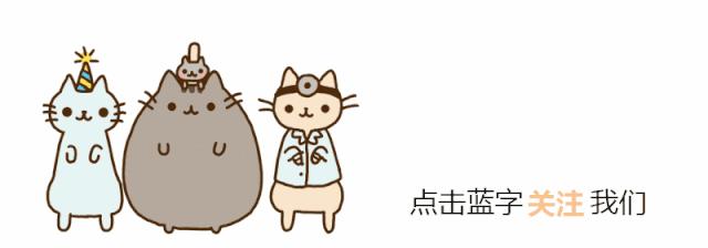 如何给小猫驱虫,捡小猫怎么驱虫