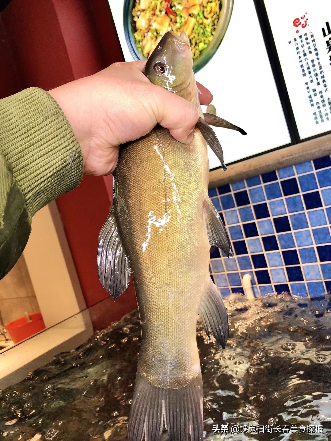 长春十个必去的经典馆子,长春市有哪些好吃的馆子