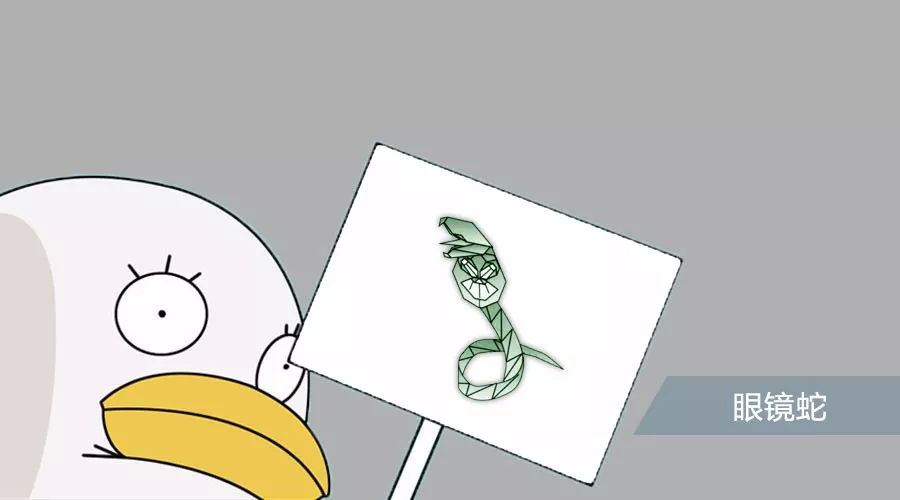 用纸折眼镜蛇很简单又好看,眼镜蛇怎么折简单又漂亮