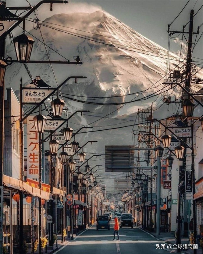 活久见的奇妙动物照片,活久见的神奇图片