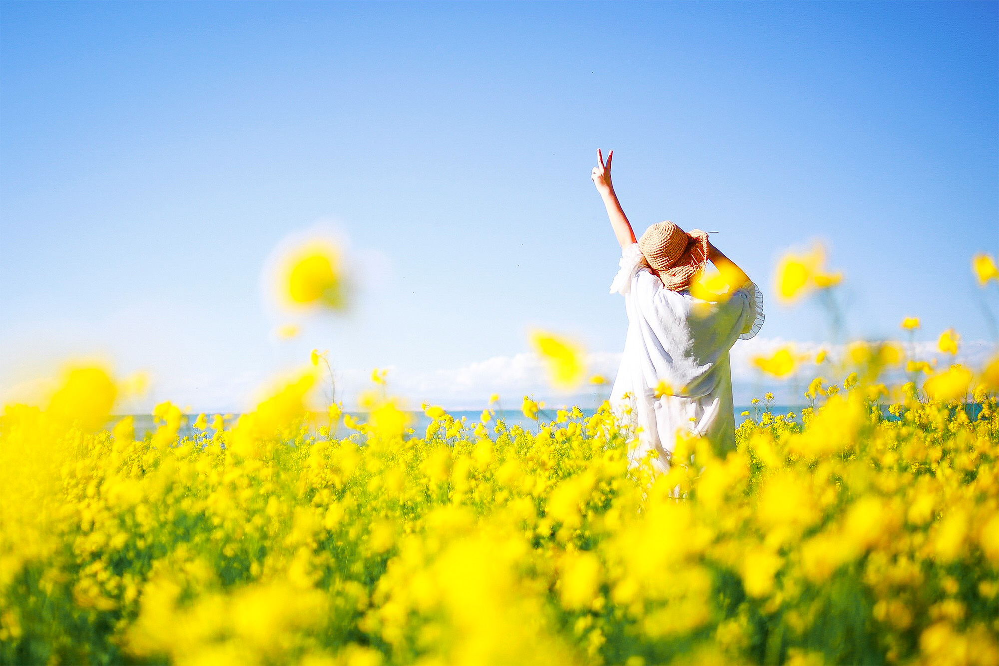 人穷还穷得理直气壮,果然穷能治愈一切矫情