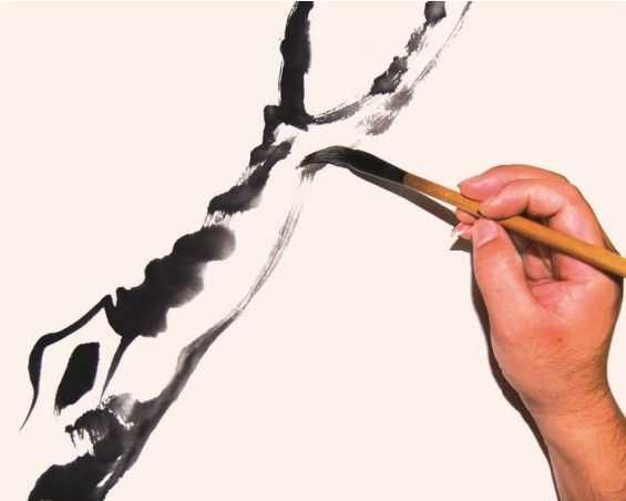 国画花枝穿插技巧图解,国画花枝的简单教程