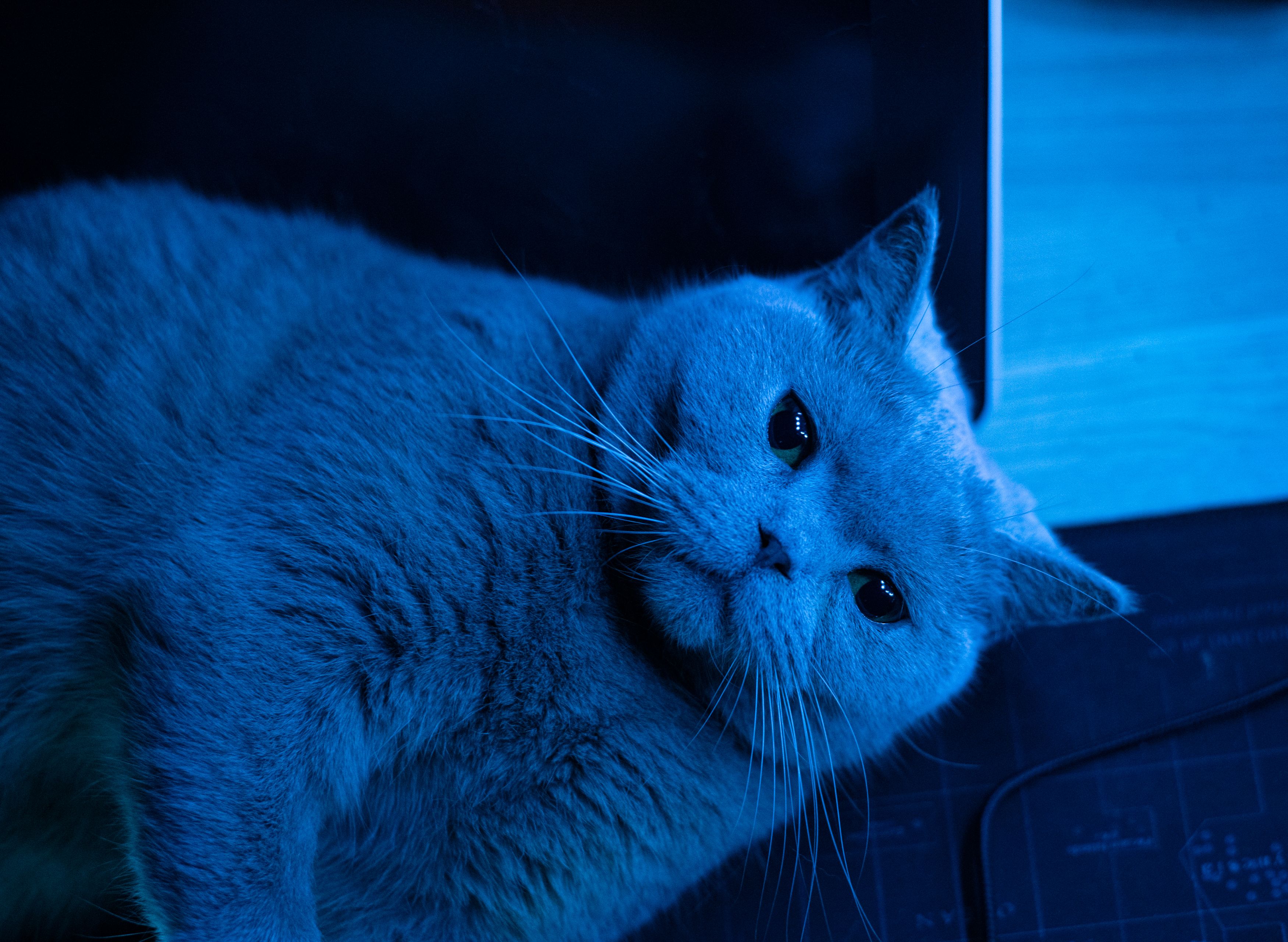 5W打造理想桌面——30件桌面好物分享