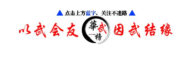 空手道柔术神童,柔术天才神童