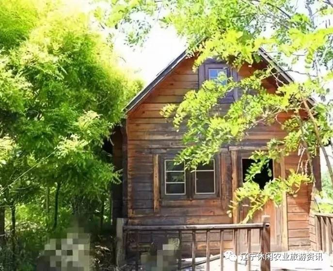 旅顺杏花村风景,旅顺杏花微雨醉春风