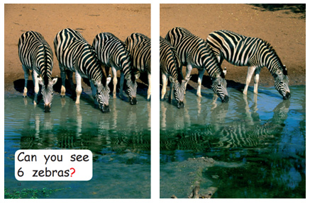 红火箭分级阅读科普,红火箭分级阅读有视频吗