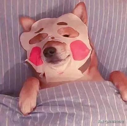 你的洗面奶在黑榜上吗,会烂脸的洗面奶黑名单