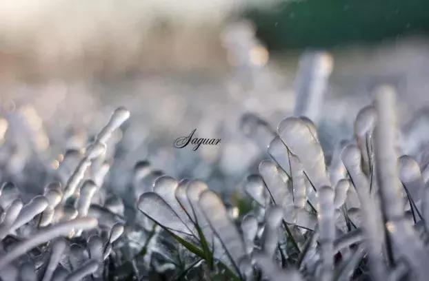 雾凇之美宛若仙境,连云港花果山雾凇美得像仙境