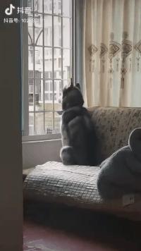 鐤儏蹇冪悊鐤忓瑙嗛,鐤儏涓嬬殑蹇冪悊鐤忓