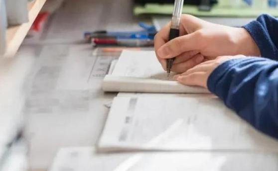 教育督导学校弄虚作假的处理意见,核查学籍与户口不一致