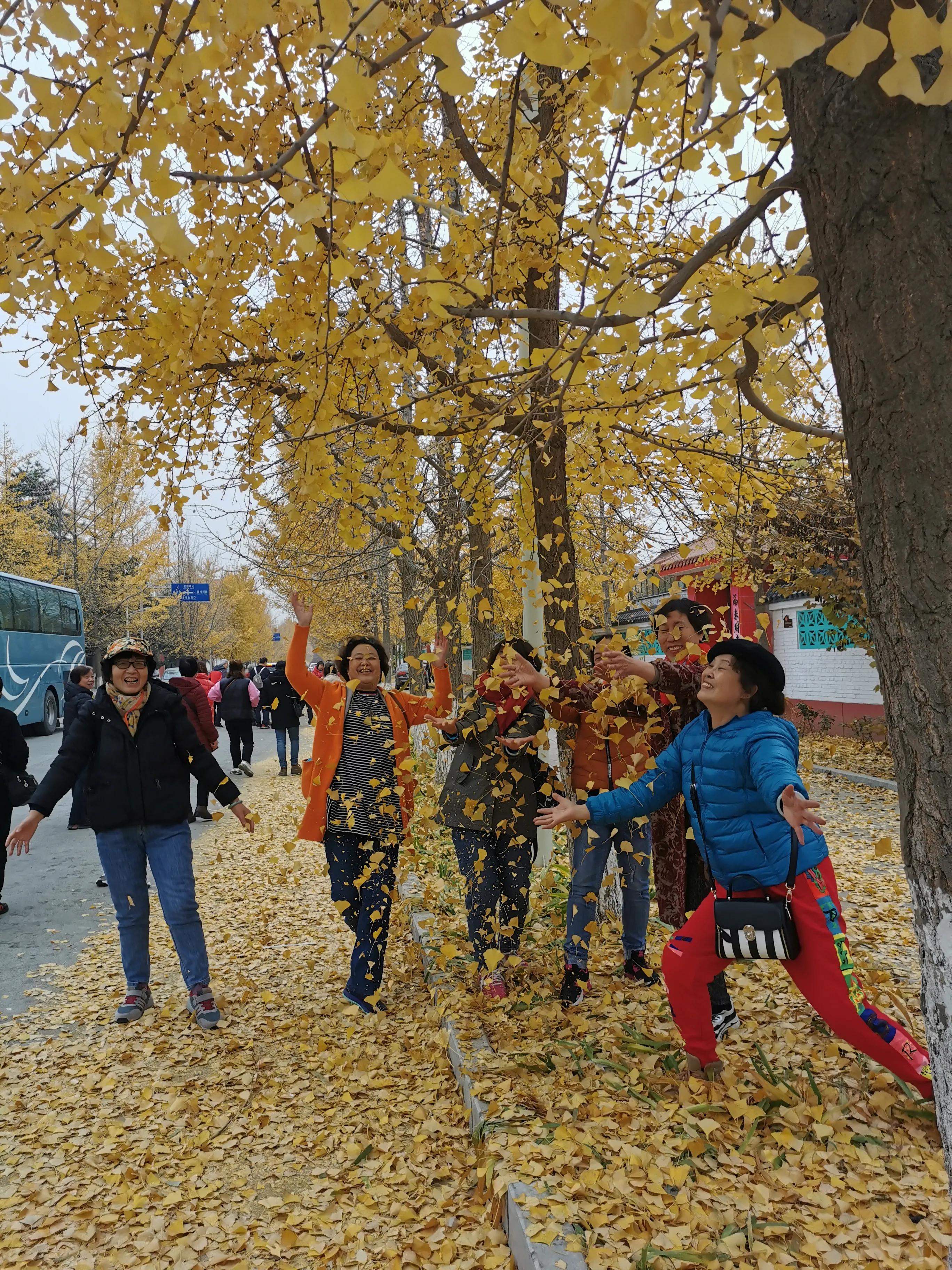 北京房山最美乡村项目,韩村河是中国十佳乡村吗