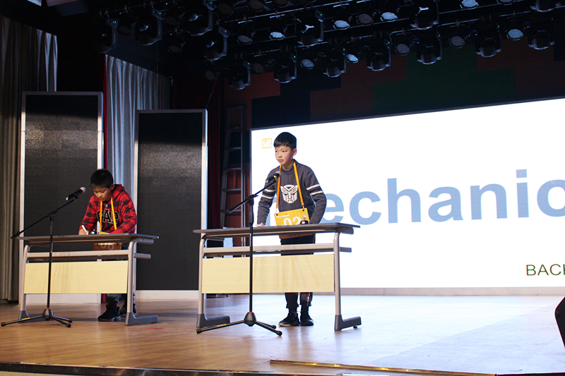 弗恩英文拼写,弗恩英语