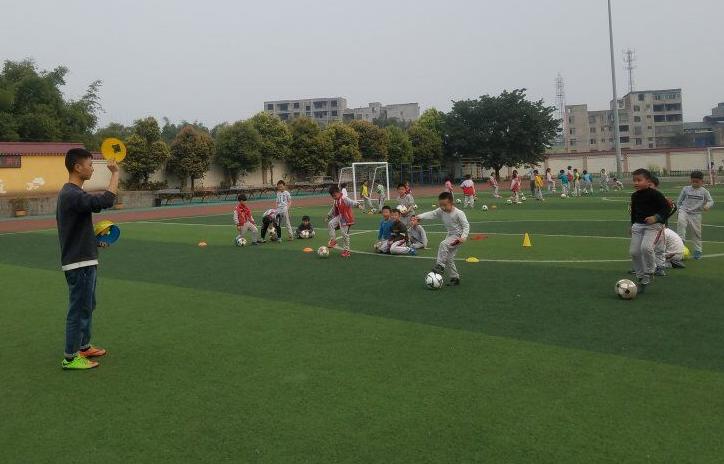 泸州方洞小学课后服务,向阳小学课后服务