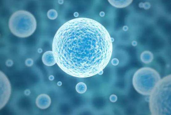 干细胞治疗肝脏疾病,疗效惊人!(内附案例分享)