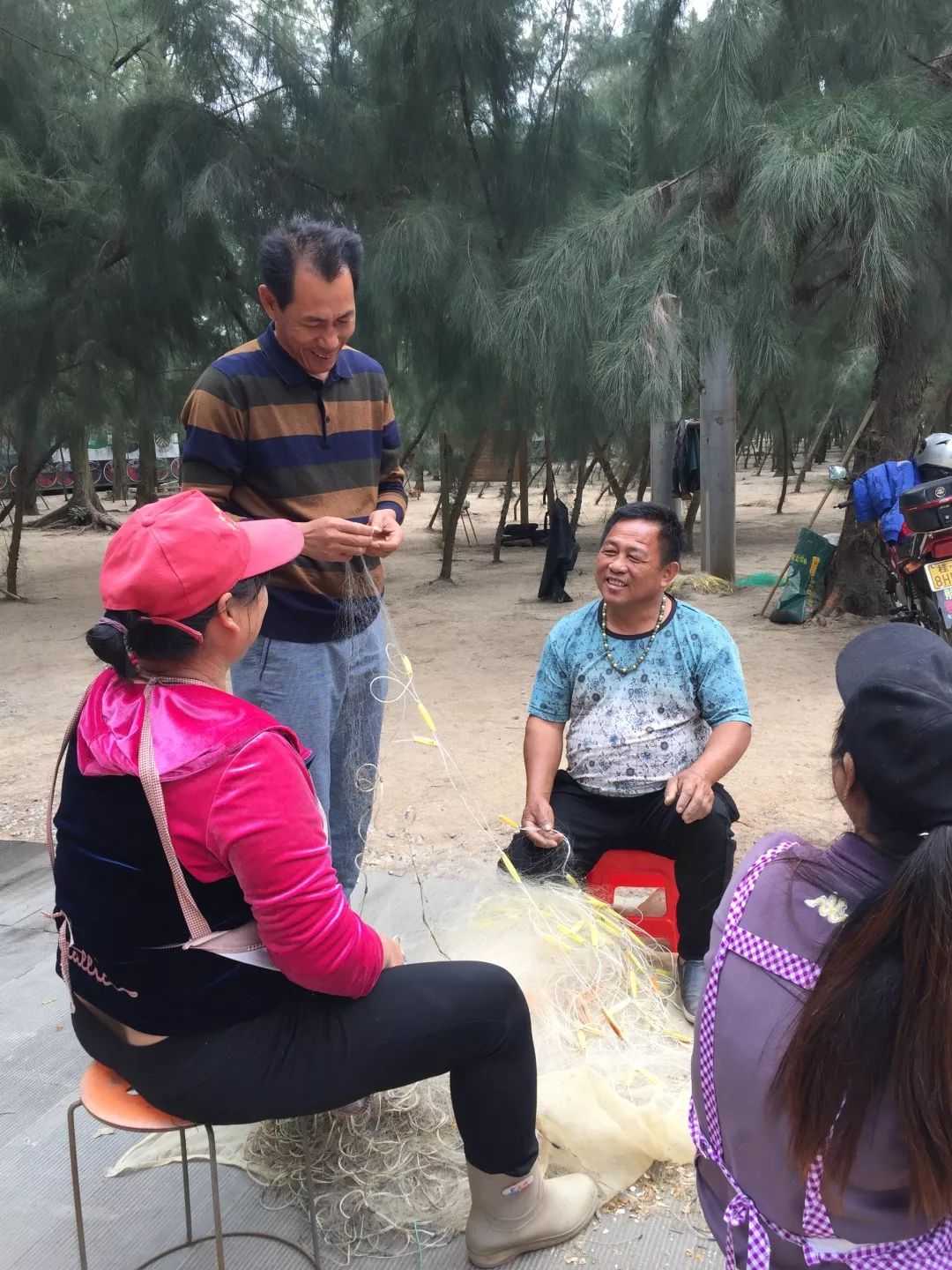 钦州三娘湾寻找白海豚,钦州三娘湾中华白海豚咬不咬人