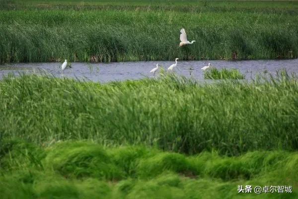 戛纳即将闭幕！但这座美得像电影海报的小镇不能错过