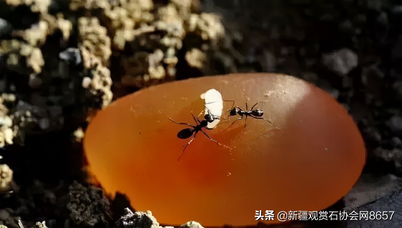 金丝玉有油润度吗,金丝玉功效寓意