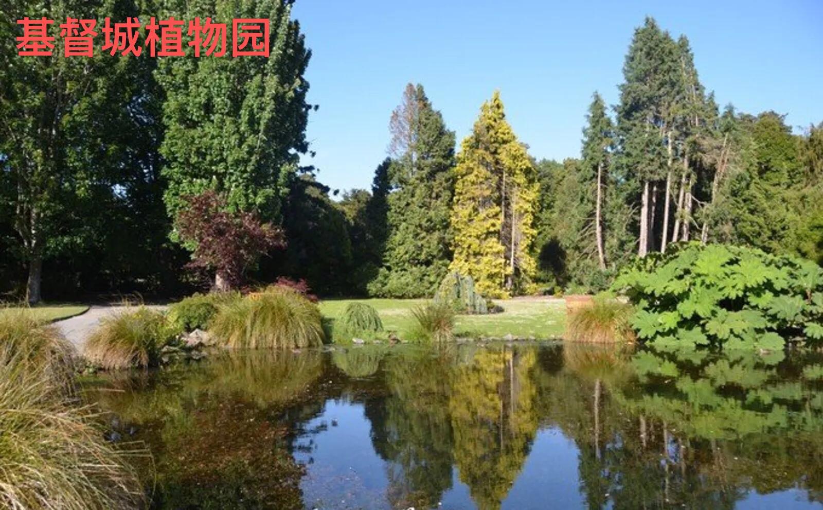 你知道吗人民币的主要成分,你知道吗你就是我的意外