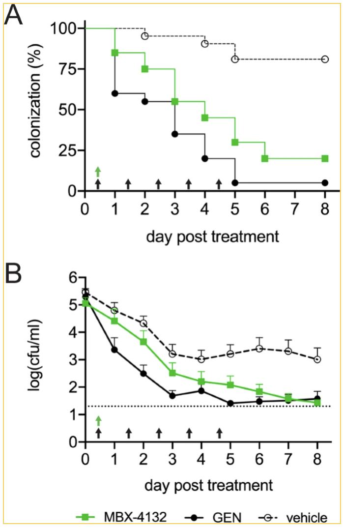 最新!*病治性疗**迎来新突破,MBX-4132或可治愈淋病