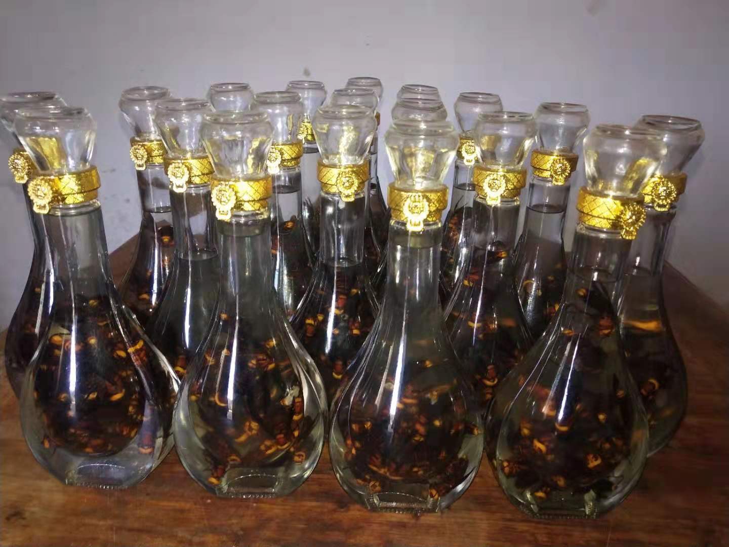 关于胡蜂养殖技术推广的可行性