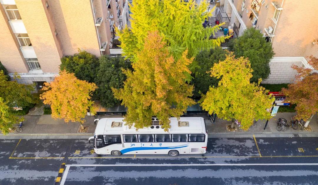 复旦大学ppt模板下载,浙江大学极简ppt模板