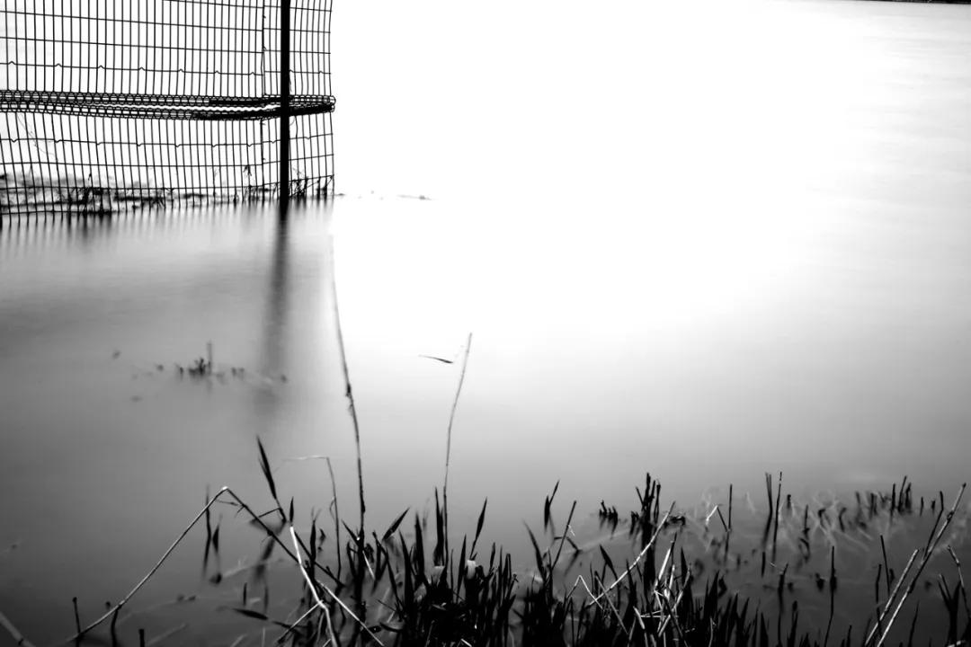 津门网金熙男:宁静的太子河