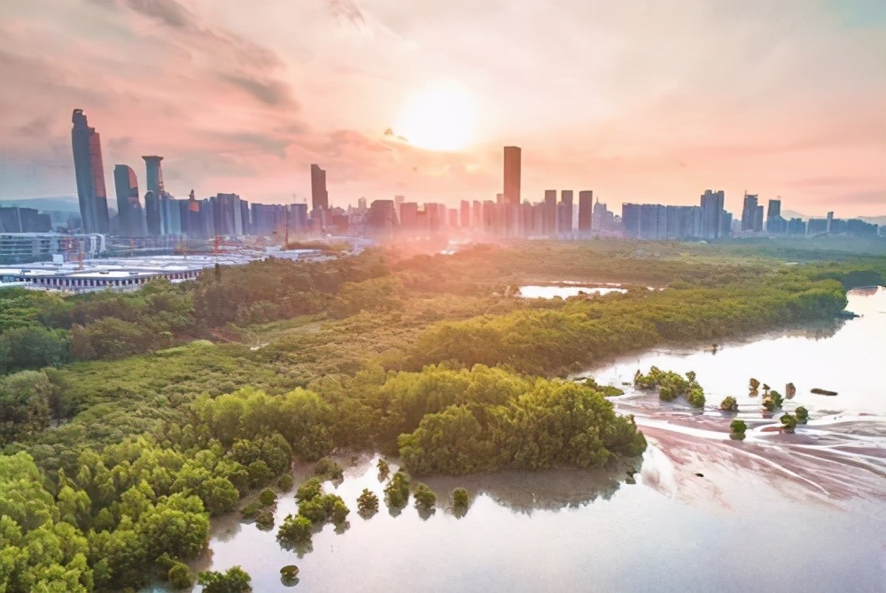 深圳免门票景点推荐,深圳市内近20个景点一票通玩